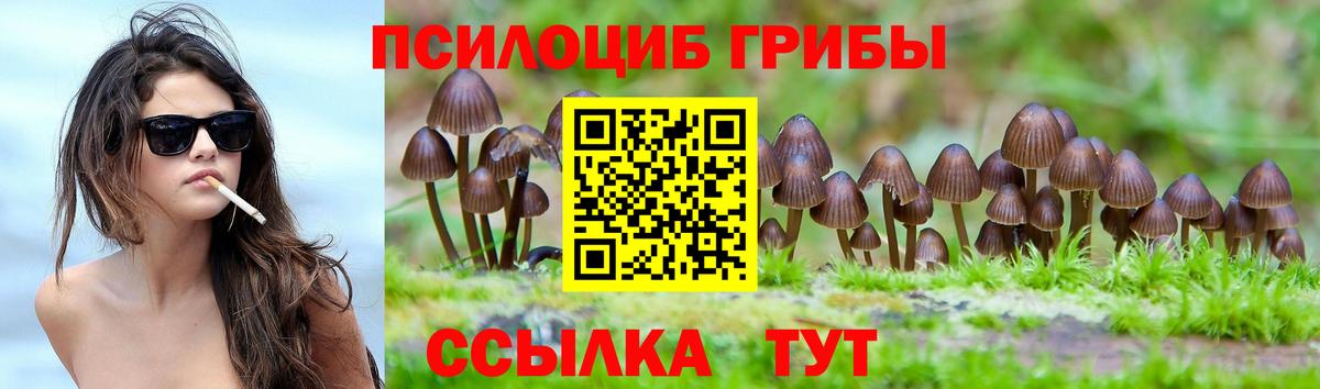 Полевской  Псилоцибиновые грибы мухоморы  Галлюциногенные грибы Cubensis  Вход с VPN 